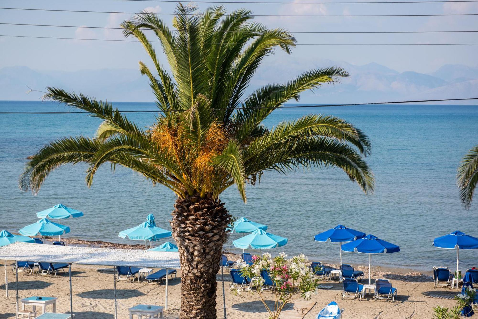 Aphrodite Beach Hotel Corfu Roda  Dış mekan fotoğraf